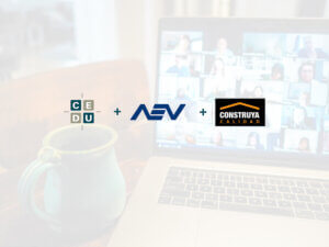 Primer encuentro virtual – CEDU – AEV – Grupo Construya