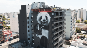 “Street art” en Buenos Aires: el auge de los gigantescos murales que embellecen los edificios