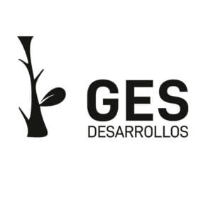 GES DESARROLLOS